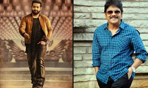 ys jagan, nagarjuna, junior ntr, tollywood