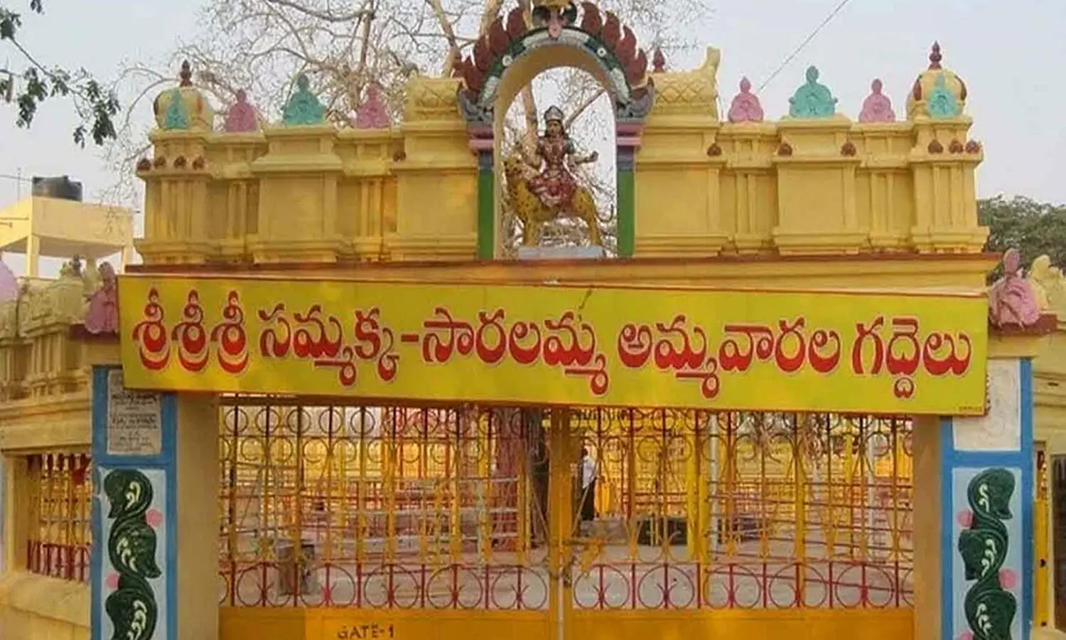 medaram, sammakka, saralamma, jathara, hundi, counting medaram, sammakka, saralamma, jathara, hundi, counting