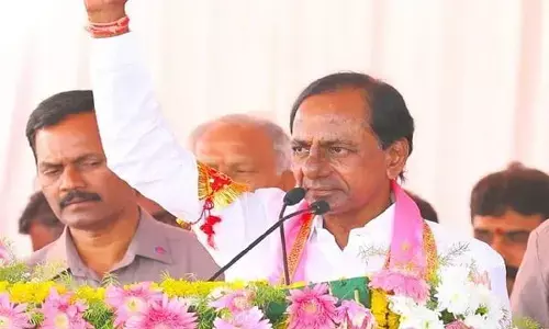 మూడు రోజులపాటు సీఎం జన్మదిన వేడుకలు : మంత్రి కేటీఆర్