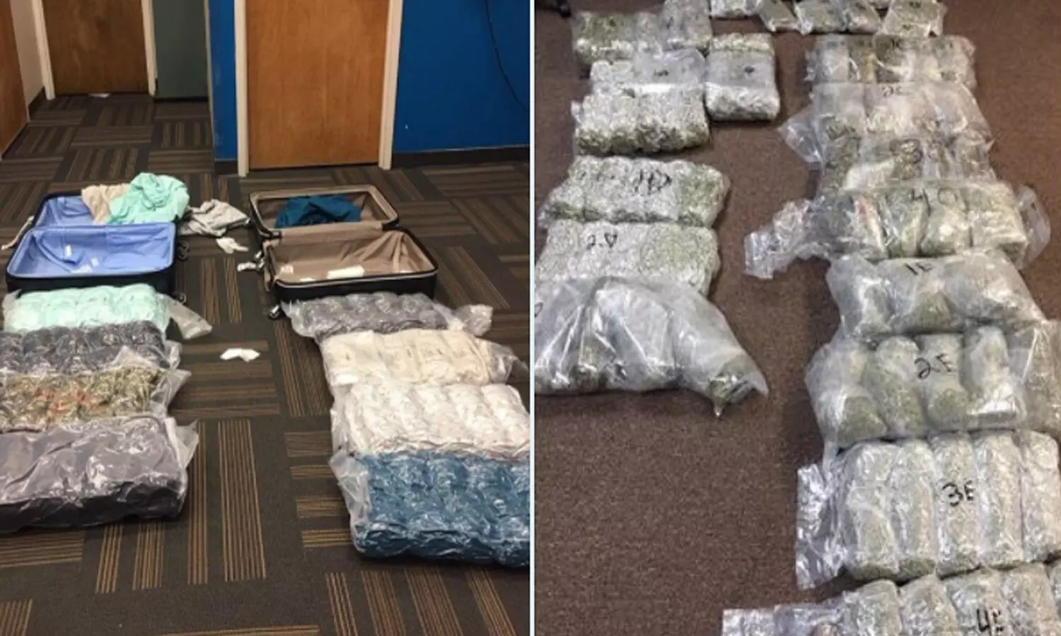 drugs, delhi ariport, customs officials