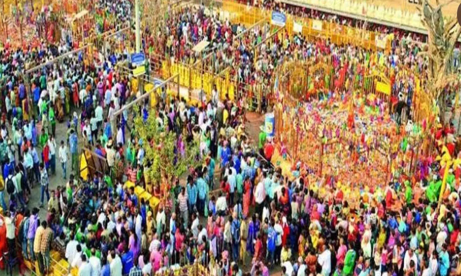 medaram jatara, hundi, count