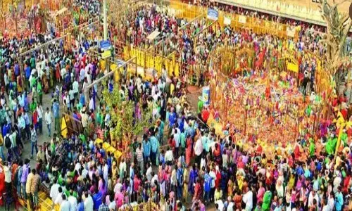 medaram jatara, hundi, count