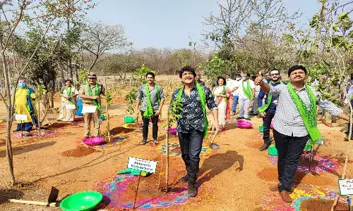 అడవిని దత్తత తీసుకున్న నాగార్జున దంపతులు !