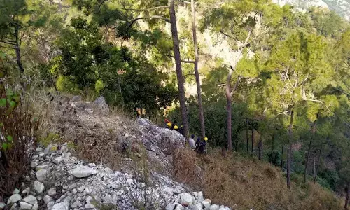 లోయలో పడిన పెళ్లి బస్సు.. 14 మంది దుర్మరణం