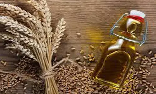 ukraine, russia, war, oil, wheat, cell phones