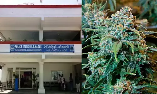 విహార యాత్ర పేరుతో గంజాయి అమ్ముతున్న ముఠా అరెస్ట్