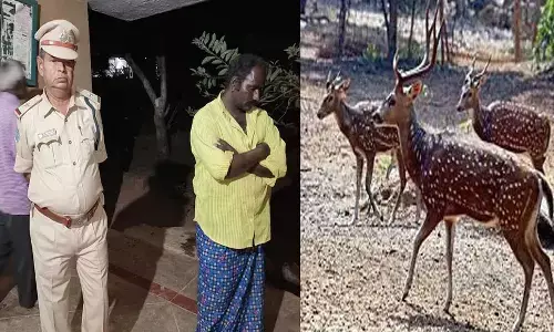 అనంతలో జింక మాంసం కలకలం.. వ్యక్తి అరెస్ట్