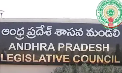 mlc elections, karimunnisa, ysrcp, andhra pradesh