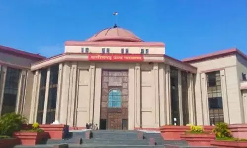 chattisgarh court, sex, cruel, divorce case