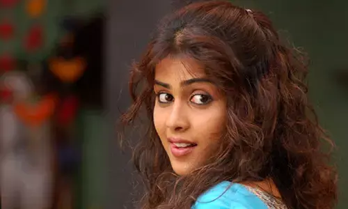 జెనీలియా రీ ఎంట్రీ..