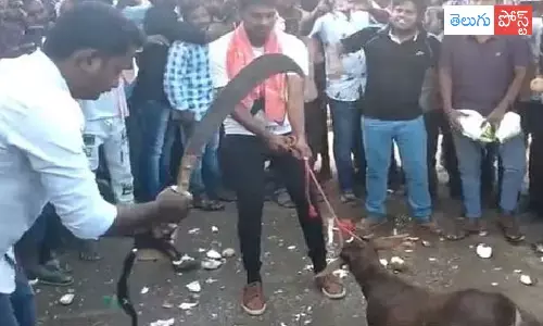 పవన్ అభిమానులపై కేసు నమోదు