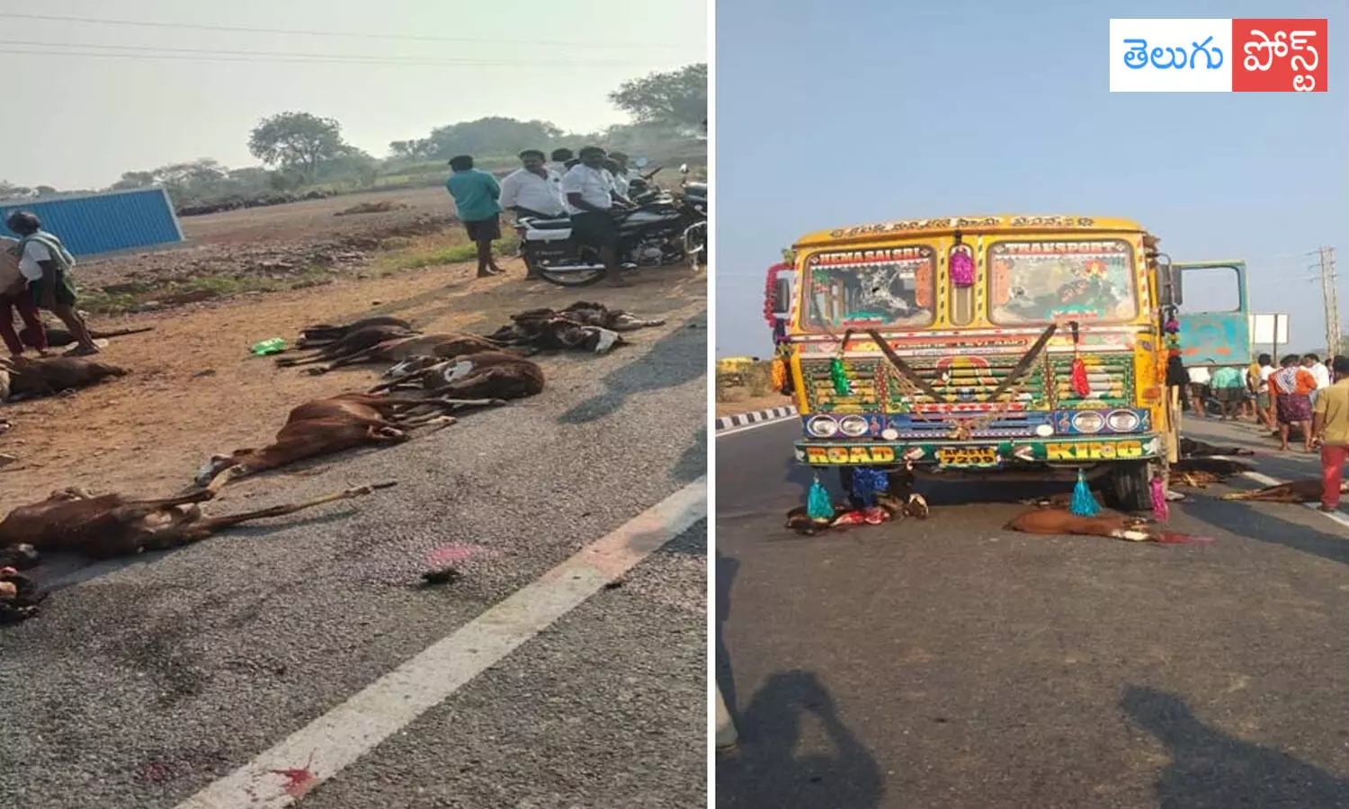 నెత్తురోడిన జాతీయ రహదారి.. టిప్పర్ ఢీకొని..