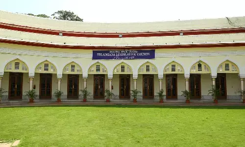 council, chairman, deputy chairman, telangana