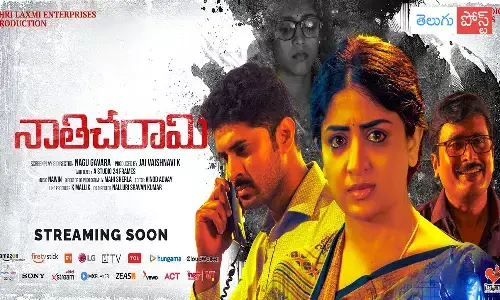 యూట్యూబర్లకు నాతిచరామి వార్నింగ్