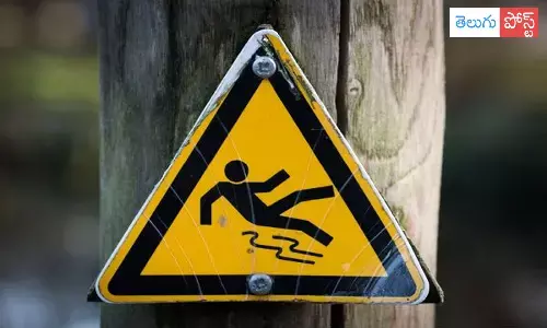 road accident, canada, indian students