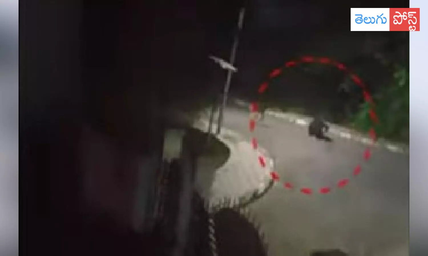 శాతవాహన యూనివర్శిటీ లేడీస్ హాస్టల్ వద్ద ఎలుగుబంటి కలకలం