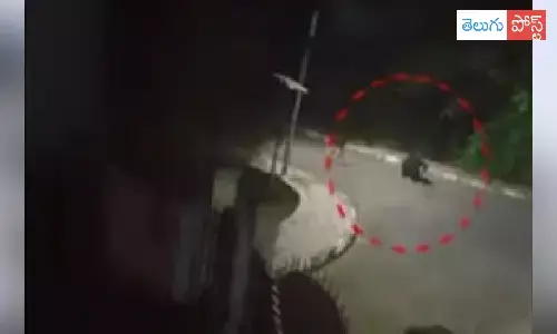 శాతవాహన యూనివర్శిటీ లేడీస్ హాస్టల్ వద్ద ఎలుగుబంటి కలకలం