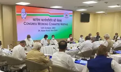congress working committee, five state elections, senior leader, leadership