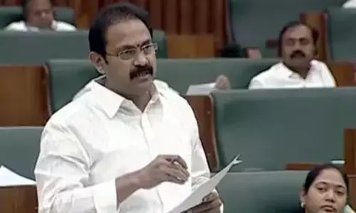 alla nani, minister, jangareddygudem deaths, chandrababu, tdp