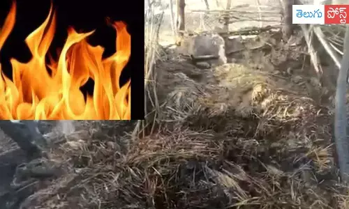 అగ్నిప్రమాదంలో మహిళ సజీవదహనం