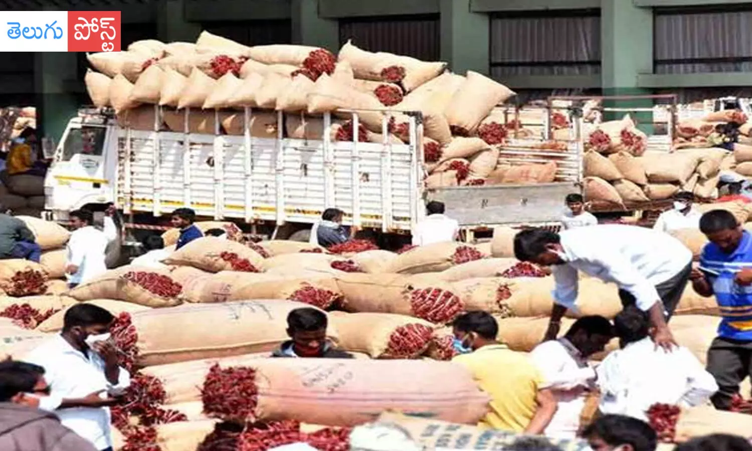 ఘాటెక్కిన మిర్చి.. క్వింటా రూ.44 వేలు