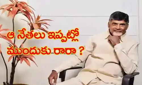 chandrababu, telugu desam, mp candidates, ap politics