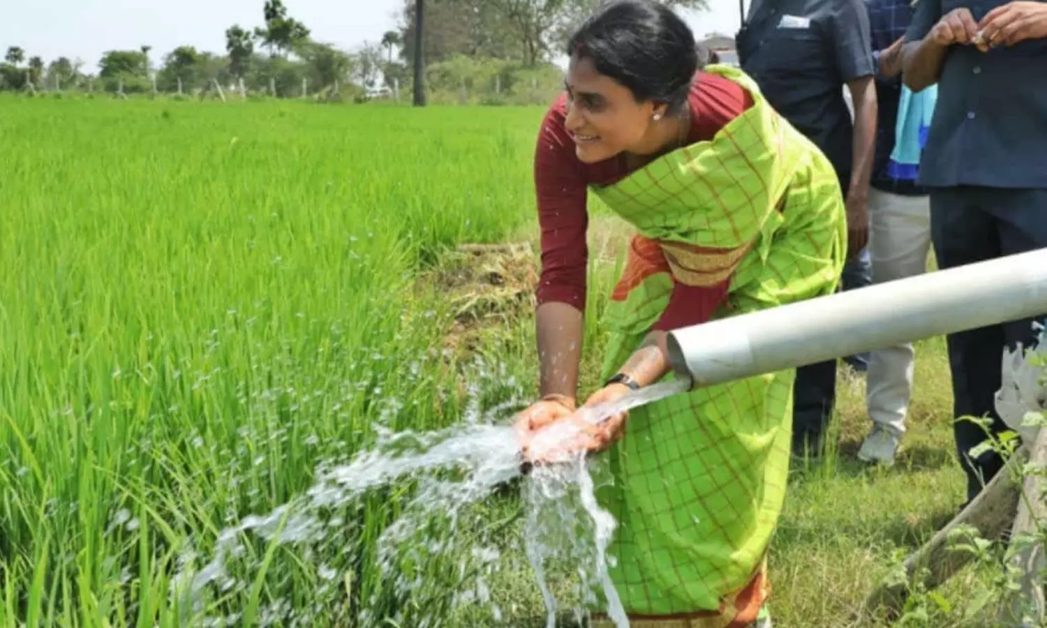 ys sharmila , ysrtp, kcr, chief minister, telangana ys sharmila , ysrtp, kcr, chief minister, telangana