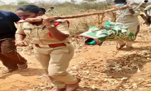 decomposed body, krishna pavani, woman si , hanumanthuni padu mandal, prakasam district