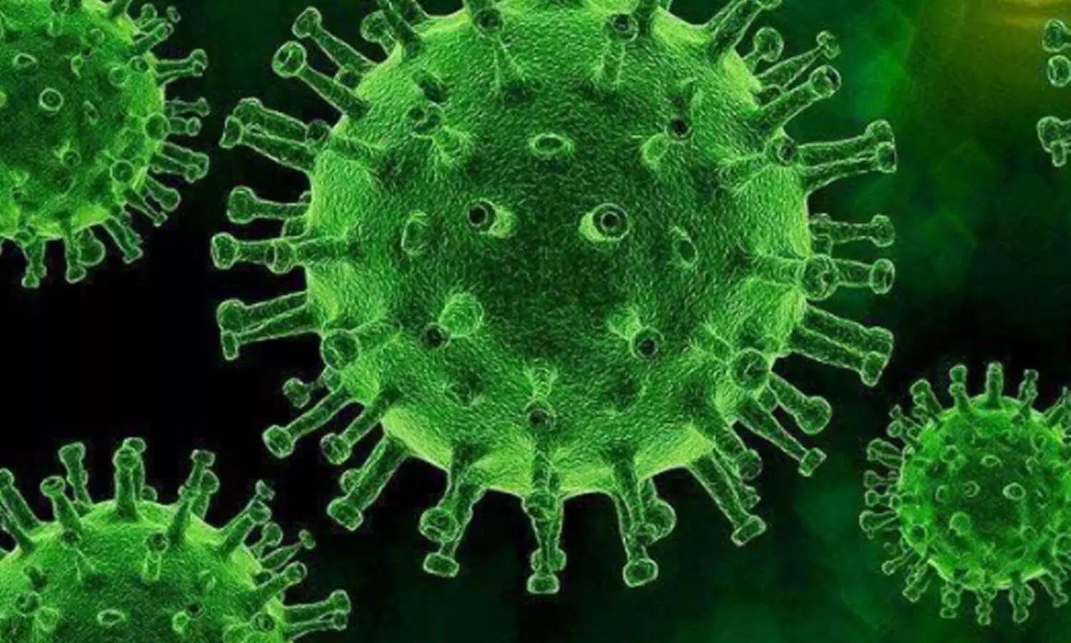 coroana virus, positive cases, deaths, recovery, telangana