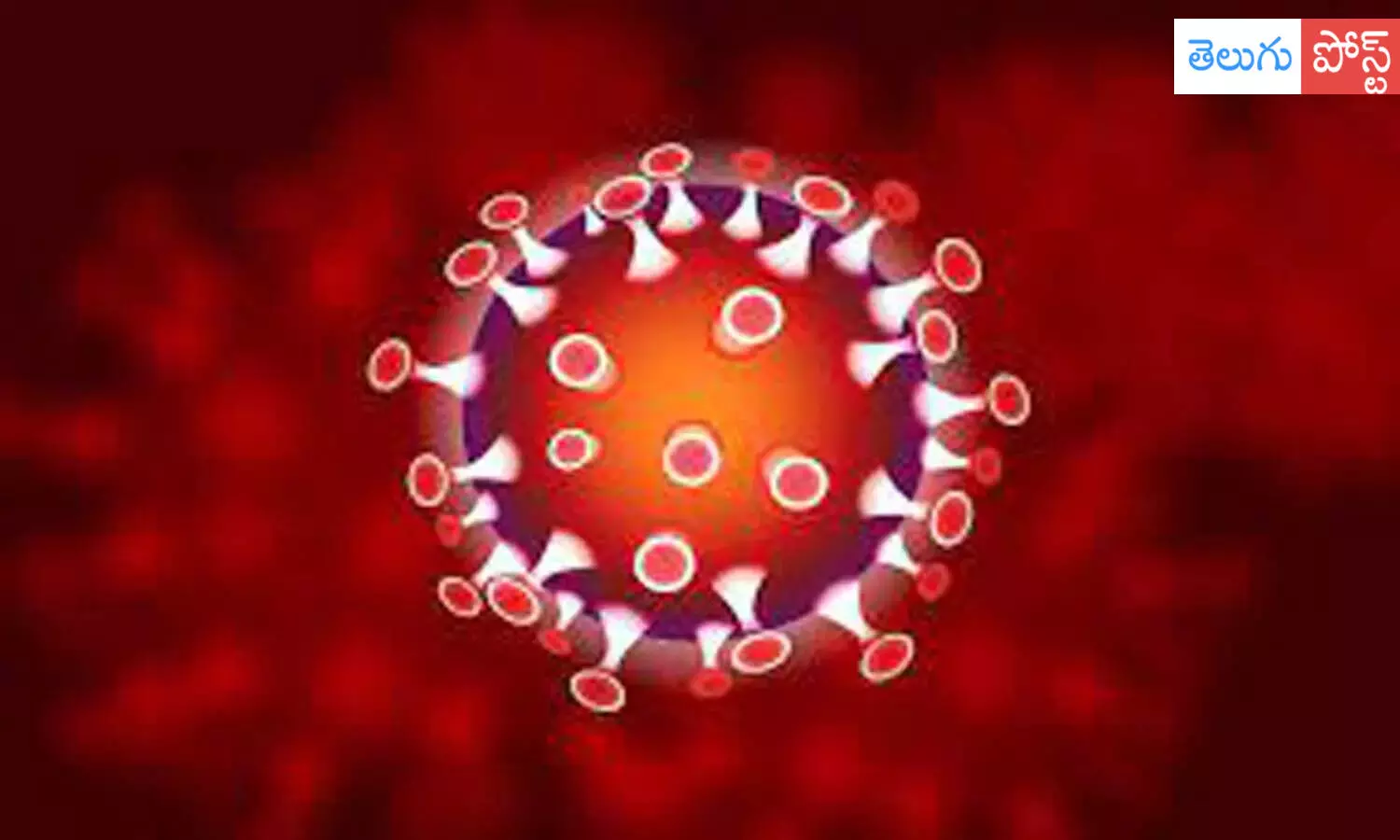 బ్రేకింగ్ : ఏపీలో భారీగా తగ్గిన కరోనా కొత్త కేసులు