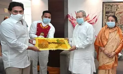 ys jagan mohan reddy, chief minister, ishwabhushan harichandan, governor, new districts, cabinet expansion