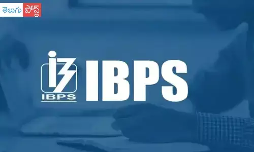 IBPS డివిజన్ హెడ్ పోస్టు కోసం అప్లై చేసుకోండి