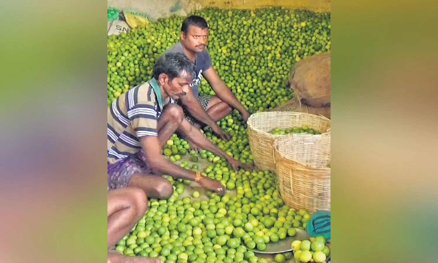 యాపిల్ తో పోటీ పడుతోన్న నిమ్మకాయ
