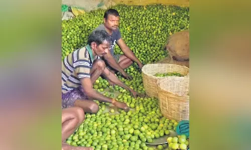 యాపిల్ తో పోటీ పడుతోన్న నిమ్మకాయ
