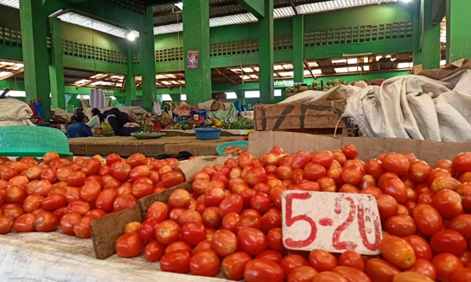 tomato, farmersk not getting remunerative price, bhainsa market