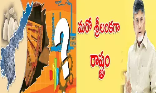 srilanka, andhra pradesh, financial crisis, eenadu, andhra jyothi