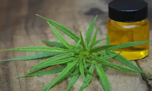 సికింద్రాబాద్ లో హాష్ ఆయిల్ ముఠా అరెస్ట్