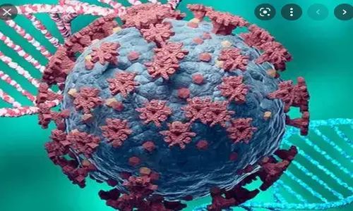 corona, positive cases, deaths, recovery, india