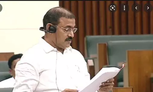 chelluboina venugopal krishna, cabinet, andhra pradesh