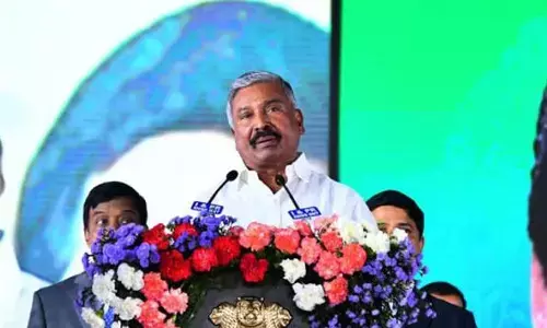 peddireddy ramachandrareddy,  minister, new cabinet, andhra pradesh