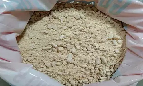 శంషాబాద్ లో భారీగా డ్రగ్స్ పట్టివేత