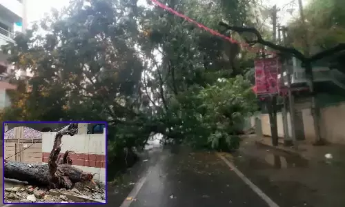 విద్యుత్ సరఫరా నిలిచిపోయిందా.. ఈ నంబర్లను సంప్రదించండి !