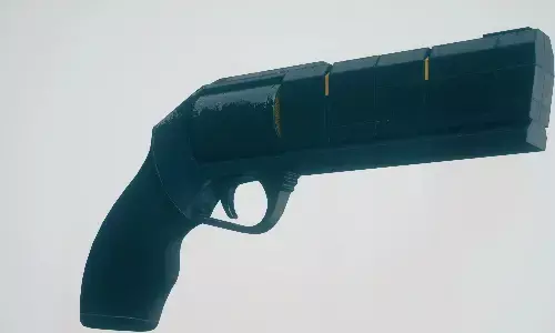 sayesh, firing, america