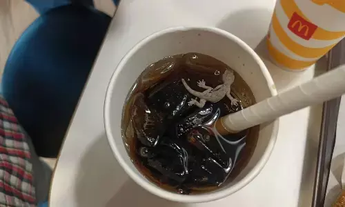మెక్ డొనాల్డ్స్ కూల్ డ్రింక్ లో బల్లి.. వీడియో వైరల్
