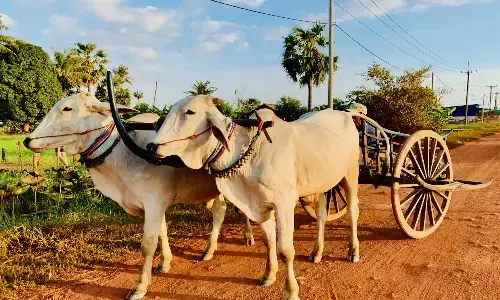 న్యాయం చేస్తాం.. ఢిల్లీకి వెళ్లకు