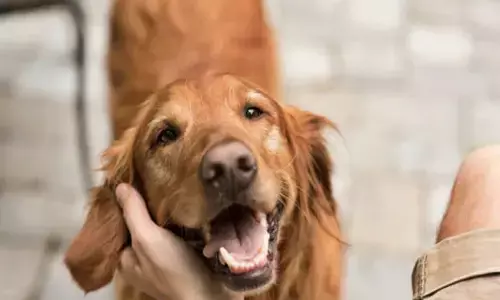 మంకీపాక్స్ టెన్షన్.. వాటికి మూడు వారాలు దూరంగా ఉండాల్సిందే..!