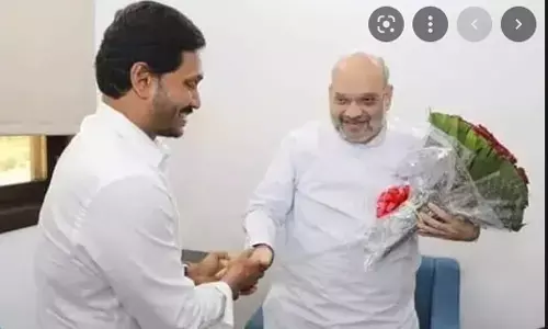 ys jagan, amit shah, delhi