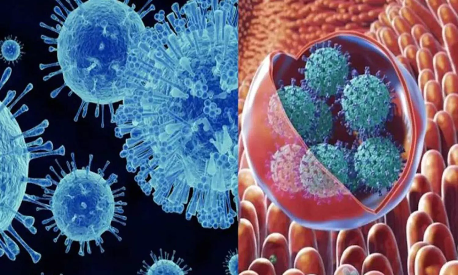 కొత్త వైరస్... కేరళలో అలజడి