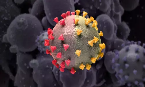 తెలంగాణ కరోనా అప్‌డేట్