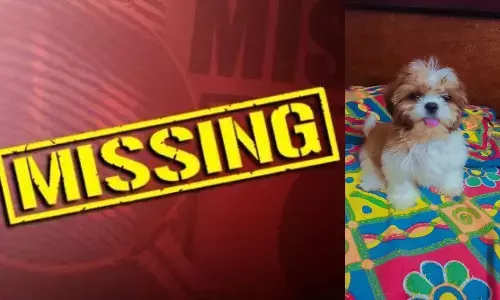 మా పప్పీ తప్పిపోయింది.. తెచ్చిపెట్టాలంటూ పంజాగుట్ట పోలీస్ స్టేషన్ లో ఫిర్యాదు